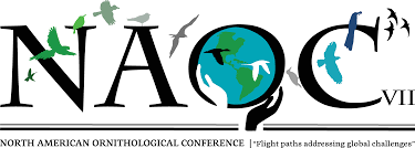 When is international margarita day you ask? Https Americanornithology Org Wp Content Uploads 2021 02 Naoc2020 Abstractbook V4 Pdf