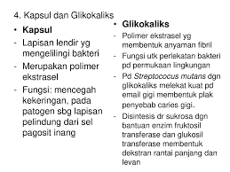 The glycocalyx, also known as the pericellular matrix, is a glycoprotein and glycolipid covering that surrounds the cell membranes of some bacteria, epithelia, and other cells. Morfologi Mikroorganisme Oleh Ruhana Afifi Ppt Download