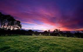 Beautiful Morning View Purple Skies Sunrise Photography Beautiful Landscape Wallpaper Hd Nature Wallpapers
