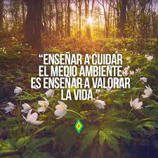 Resultado de imagen para frase medio ambiente