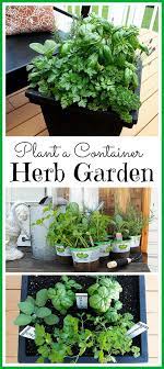 We did not find results for: Tips For Planting A Container Herb Garden