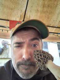 By chance does anybody know how much buyers are paying for morels right now?