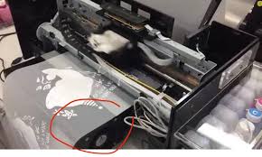Update your drivers with driver updater. Printctrl Epson Roll Printing Software L800 L801 L805 L1800 Print Roll Paper Roll Print 1390 Roll Print