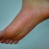 Feet rabbit illustrations & vectors. 1