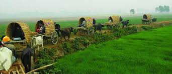 Use them in commercial designs under lifetime, perpetual & worldwide rights. Mizanur Sohel On Twitter Natural Scenery Of My Beautiful Bangladeshi Village All Are Invited To Visit My Beloved Motherland Http T Co Tzvqveykvx