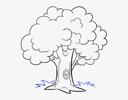 Black and white animation drawing. How To Draw Trees Drawing Cartoon Sketch Trees Cartoon Black And White Transparent Png 678x600 Free Download On Nicepng