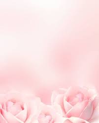 593 690 Fondo Rosa Pastel Imagenes Y Fotos 123rf