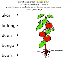 Contoh proposal ptk penelitian tindakan kelas penelitian ini dilakukan di dalam kelas dengan melakukan ptk guna memperbaiki pembelajaran pada kelas. Kumpulan Soal Pelajaran Anak Tk B Terlengkap Materi Belajar