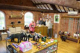 We did not find results for: Pin De Pet Groomer S Profit Generatin En Grooming Business Decor Salones De Peluqueria De Perros Peluqueria De Perros Tienda De Mascotas