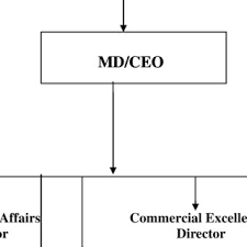 Zenith Bank Organisational Structure Homework Example