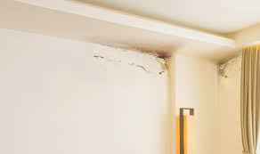 Check spelling or type a new query. Waterproofing Solutions For Your Home Interiors Berger Blog