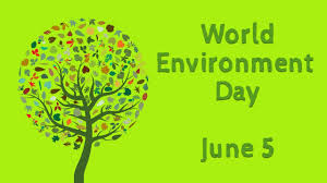 People's day is something to be done to take care of the earth and the environment. World Environment Day June 5 Celebrate Biodiversity Theme For 2020 Youtube