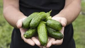 Semoga, artikel mengenai manfaat jus mentimun bisa bermanfaat bagi kalian semua, ya! Kaget Lihat Perubahan Tubuhnya Wanita Ini Ketagihan Minum Jus Timun Tiap Hari Ini Manfaatnya Tribunnews Com Mobile