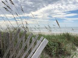 We did not find results for: Best Things To Do During Your Atlantic Beach Vacation Travelawaits