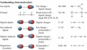 Intermolecular Forces