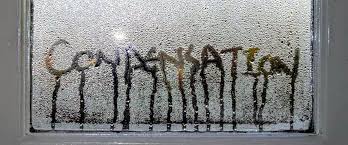 Many of the windows develop condensation and frost on the storm windows when it's cold outside. Is Condensation On Windows Bad Causes How To Stop It Ecohome