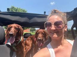 Effective over the counter dog flea and tick preventatives?