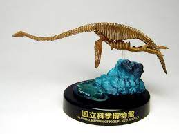 豬ｷ豢句 ゅ 悟嵜遶狗ｧ大ｭｦ蜊夂黄鬢ｨ 繧ｫ繝励そ繝ｫ繝溘h繝ｼ繧ｸ繧 繝 縲阪3繝薙h繝ｼ カプセル ミュージアム