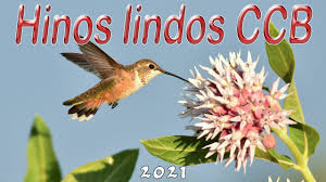 Este app , não possui vínculos nem é mantida pela congregação cristã no brasil. Ccb Hinos Cantados Congregacao Crista No Brasil Hinos Ccb Cantados Hinario 5 Hinos Vol 20çš„youtubeè§†é¢'æ•ˆæžœåˆ†æžæŠ¥å'Š Noxinfluencer