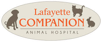 Our pet clinic is a place where animals feel safe. Lafayette Companion Animal Hospital Veterinarian In Lafayette Co Us