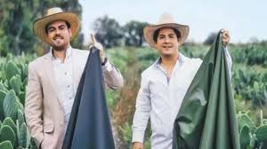 The seri indians sometimes used the fishhook barrel (ferocactus wislizeni) for emergency water. Eco Friendly Alternative Mexican Entrepreneur Duo Creates Leather From Cactus