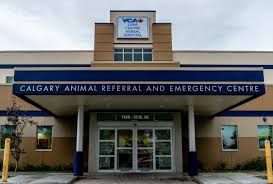 Check spelling or type a new query. Specialty Veterinarians In Calgary Ab Care Centre