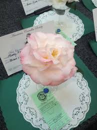 Camellia Japonica Mary Fischer Camellia Japonica Flower Garden