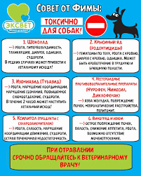 Toksikologiya Sobak Eksvet