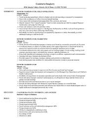 Title ix coordinator cover letter sample. Senior Coordinator Resume Samples Velvet Jobs