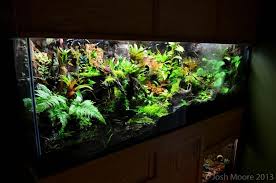 180 Gallon Viv Build Plus Two 20 Gal Verts Page 10 Dendroboard Aquascape Pet Enclosure Bioactive Vivarium