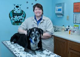 Maybe you would like to learn more about one of these? Our Veterinarian Team In Nashville Tn Paws Claws Animal Hospital Llc