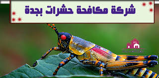 Pin On شركة نقل عفش 0504545835