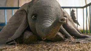 Let us know what you think in the comments below. Movie Review Dumbo Every Movie Has A Lesson