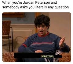 Find 32 ways to say profitability, along with antonyms, related words, and example sentences at thesaurus.com, the world's most trusted free thesaurus. Do We Allow Jordan Peterson Memes Here Too Toiletpaperusa