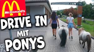 Ich Kaufe Ein Mini Pony Nehme Dich Mit Zur Mini Shetty Zuchterin Youtube