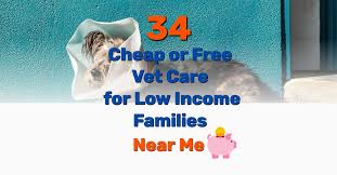 Don't write off your local veterinary clinics! 34 Cheap Or Free Vet Care For Low Income Families Near Me Frugal Living Coupons And Free Stuff