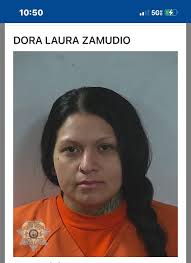 Treasure Valley Police Scanner