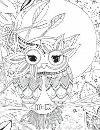 Owl Coloring Page Vogel Malvorlagen Eulenzeichnungen Ausmalbilder