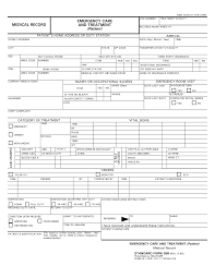 Medicine Chart Template Jasonkellyphoto Co