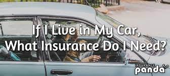 How much insurance do i need for my car. If I Live In My Car What Insurance Do I Need Insurance Panda