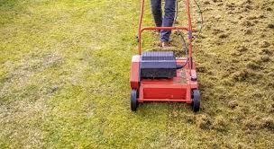 It digs into the grass and pulls material off the ground. Power Rake Vs Dethatcher Complete Comparision Guide Lawncare
