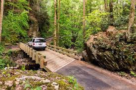 Roaring Fork Motor Nature Trail An Easy One Way Driving Loop On The Edge Of G National Parks Smoky Mountain National Park Great Smoky Mountains National Park
