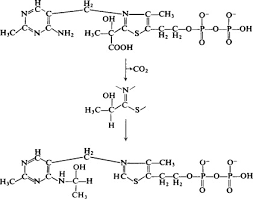 C 12 h 19 cln 4 o 7 p 2. Thiamine Pyrophosphate An Overview Sciencedirect Topics