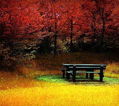 HD silent and alone wallpapers | Peakpx