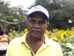 El municipio de Fonseca se viste de girasoles y abejas un emprendimiento  turístico y cultural.