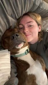 Has anybody taken their dogs from Canada to India(Kerala)? Im going for a 4  week vacation to India and Im really skeptical when it comes to Dog sitters  or day care centres. |