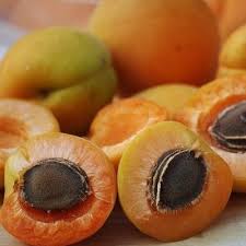 In addition to apricot seeds, our whole food. Vitamin B17 Amygdalin Natural Cancer Fighter And More