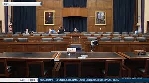 PIX11 - House committee holds hearing on reopening schools | Facebook