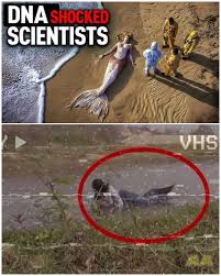 Deep below the ocean, strange humanoid figures appeared outside a  submersible's porthole. Crew inside watched in shock as the dark shapes  moved silently near the glass. Their bodies looked human-like but elongated,