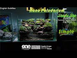 Step By Step Paludarium 35cm Dengan Dua Air Terjun Mengalir Tema Air Terjun Purba Youtube Di 2021 Air Terjun Air Youtube
